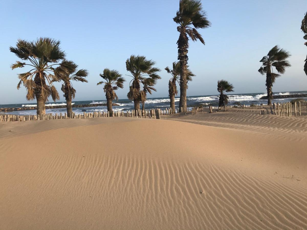 Apartment Newly Renovated Aircond-Wifi-Pool-Sea View-150M To Beaches- Saint Aygulf Eksteriør billede